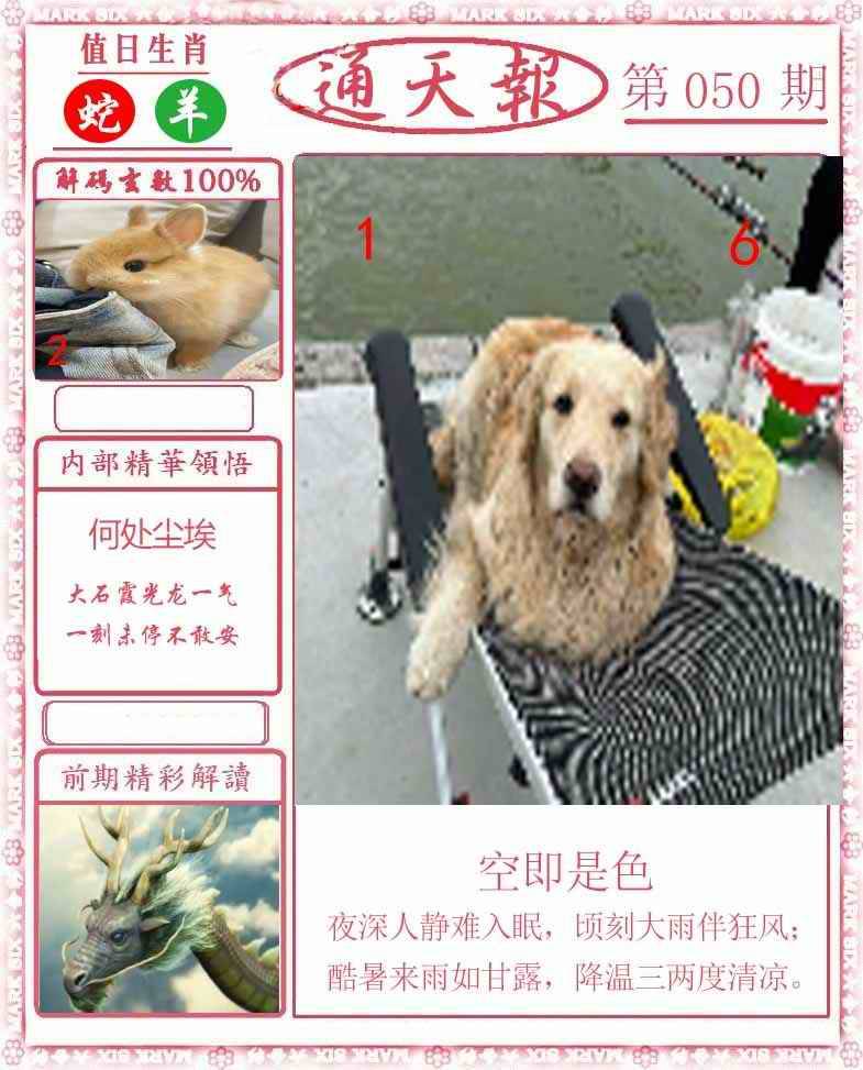 正版通天报