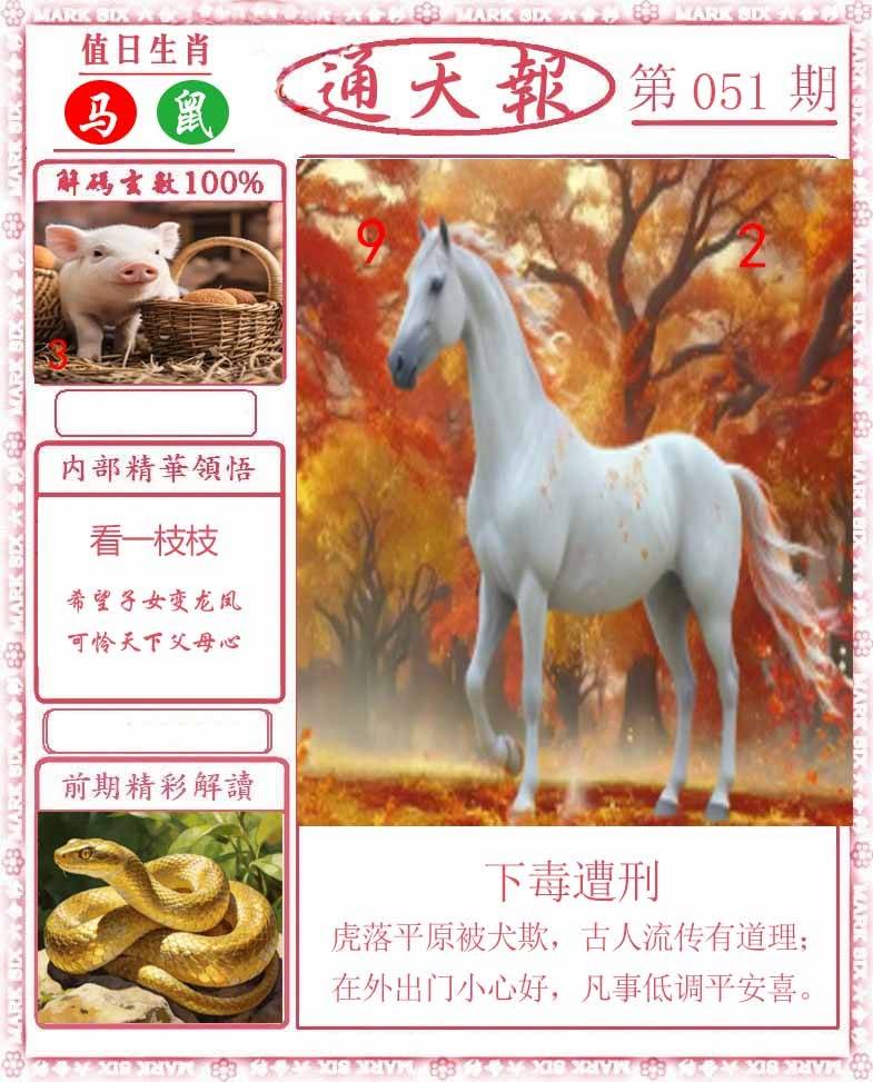 正版通天报