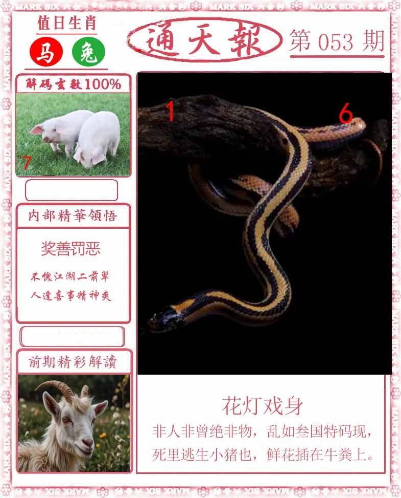 正版通天报
