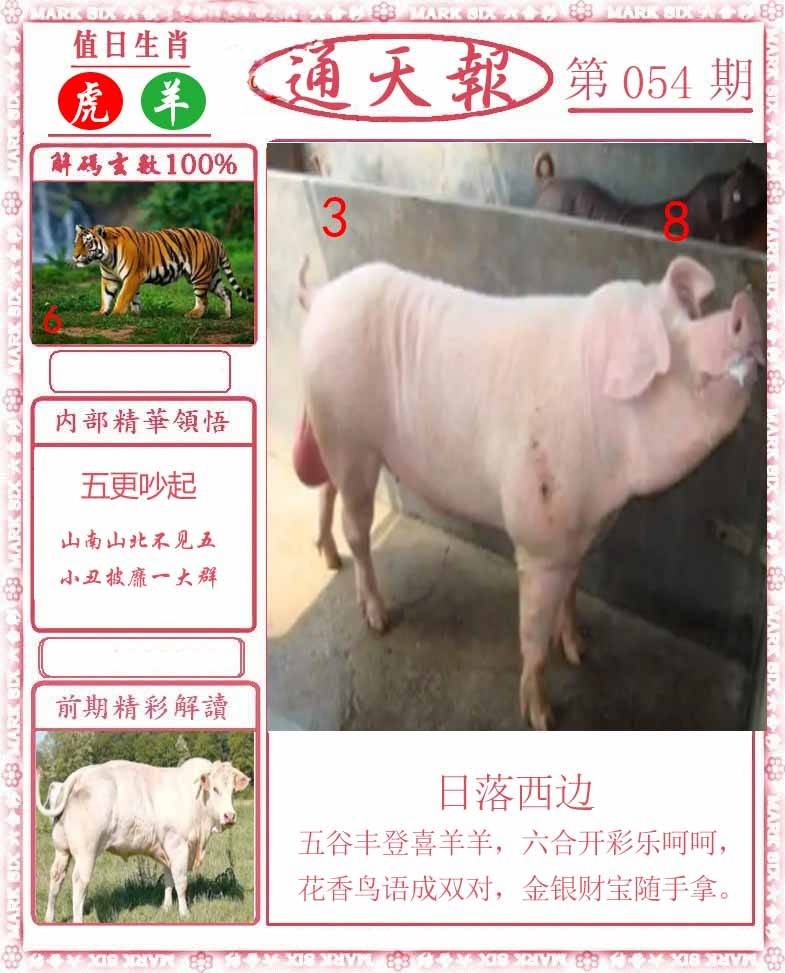 正版通天报