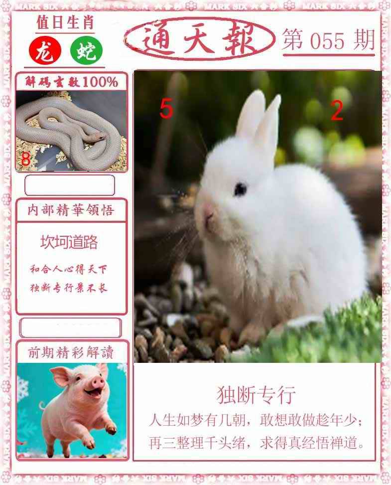 正版通天报