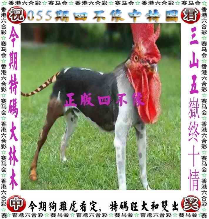 四不像中特图