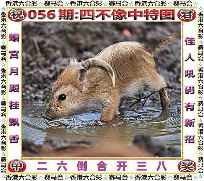 正版四不像
