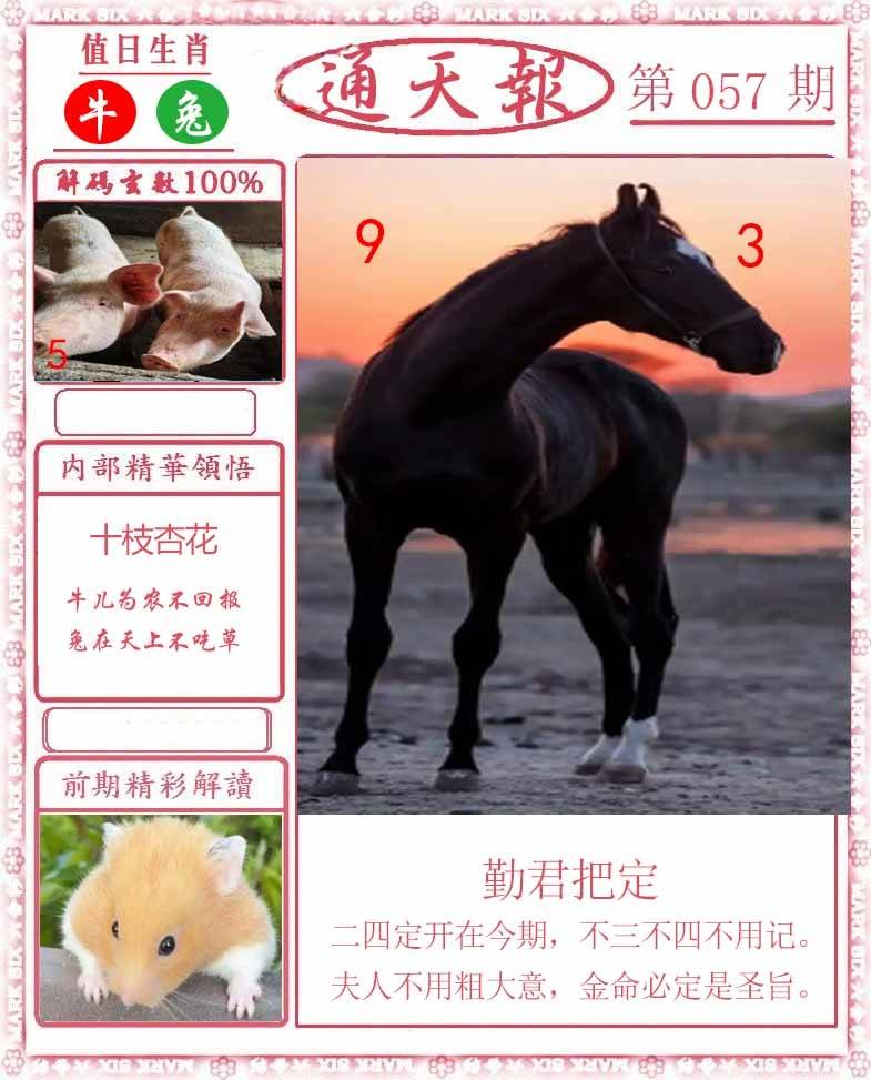 正版通天报