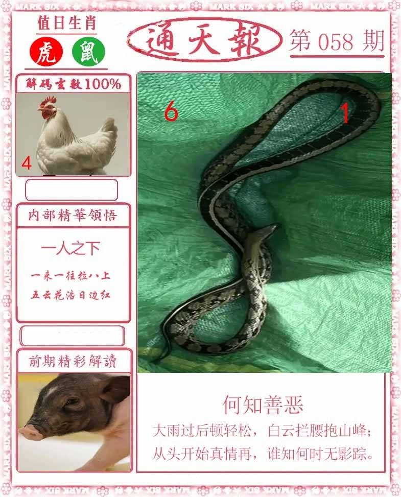 正版通天报