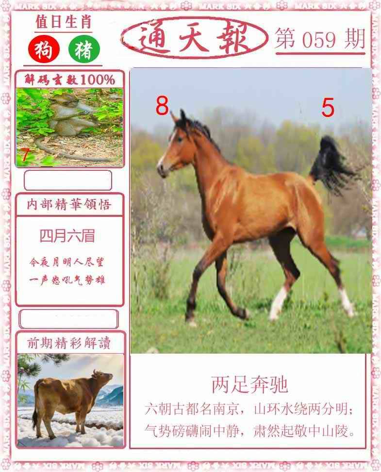 正版通天报