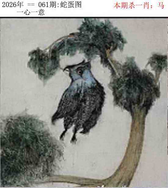 正版蛇蛋图