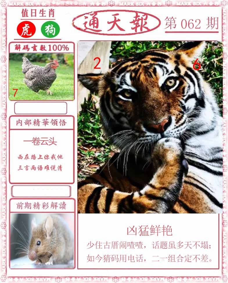 正版通天报