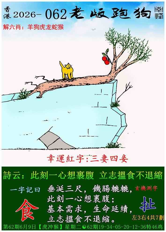 老版跑狗图