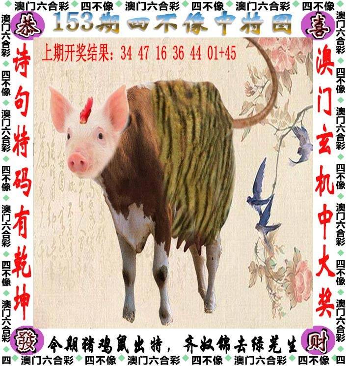四不像中特图